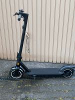 Segway g30d einzigartiger Lackierung Baden-Württemberg - Kernen im Remstal Vorschau