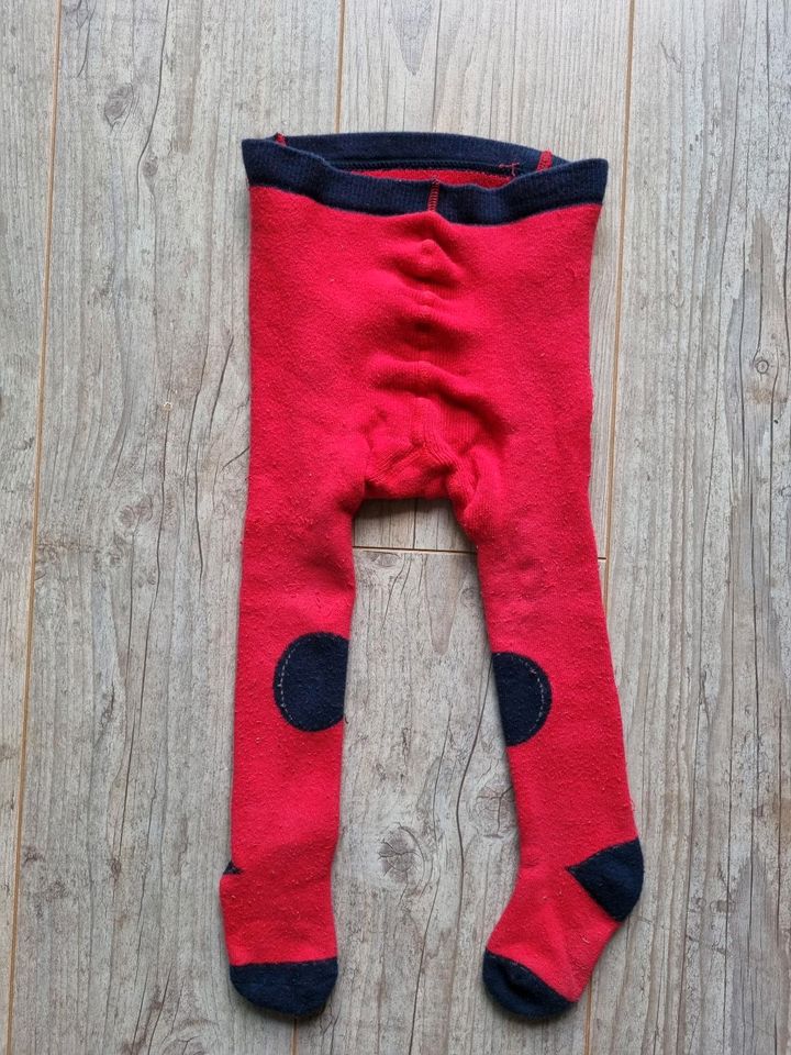 Finkid dicke Strumpfhose 80/90, Gr. 86 in Schleswig-Holstein - Lasbek |  Babykleidung Größe 86 kaufen | eBay Kleinanzeigen ist jetzt Kleinanzeigen