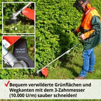 Freischneider Rasentrimmer Rasenkanten Motorsense Schneider VB Nordrhein-Westfalen - Greven Vorschau