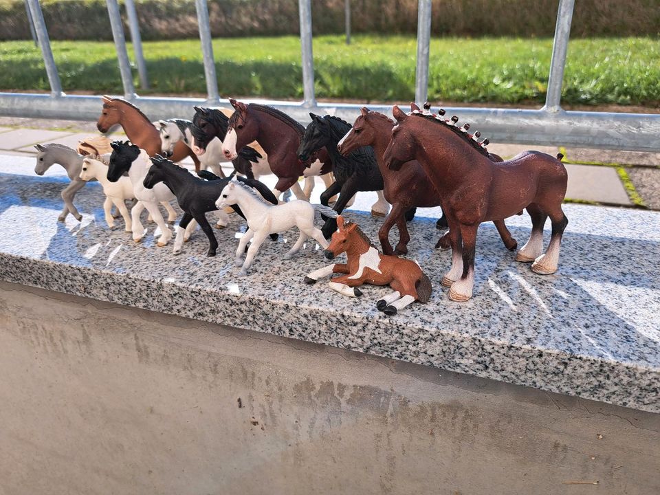 Schleich Pferde in Ossa (Narsdorf)