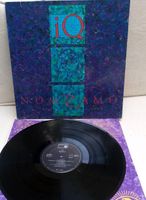 IQ-nomzamo LP Vinyl Schallplatte Prog Rock Bayern - Parkstetten Vorschau