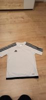 Adidas Shirt Gr. 152 Nordvorpommern - Landkreis - Prohn Vorschau