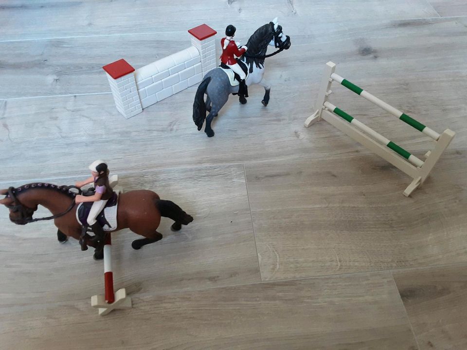 Reitplatz Schleich mit Sprüngen in Alveslohe