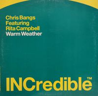 ⭐️2000 UK Trance 12“⭐️iNcredeble⭐️Chris Bangs - Warm Weather ⭐️ Bayern - Graben (Lechfeld) Vorschau