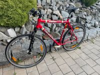 Mountain Bike Checker Pig, neu Bayern - Salzweg Vorschau