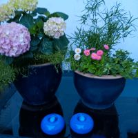 Blumentöpfe und passende Gartendeco, blau Nordrhein-Westfalen - Meschede Vorschau