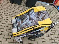 Fahrradanhänger für 26 Zoll, Kinderwagen, Chariot Thüringen - Ichtershausen Vorschau