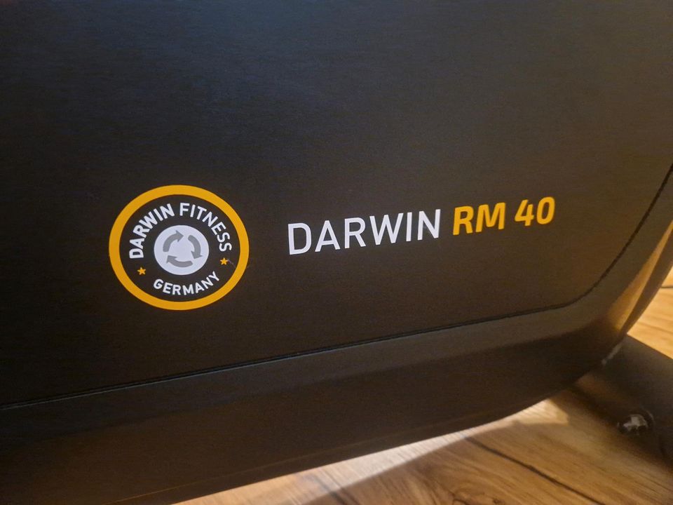 Rudergerät Darwin RM40 in Bleckede