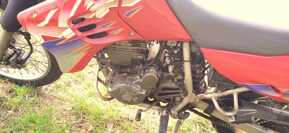 Kawasaki KLR650C rot in Bad Fallingbostel