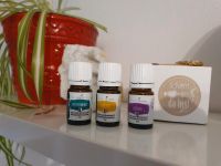 Young living Plus Öle-Set Neu OVP Lavendel Lemon Pfefferminze Bayern - Krombach Vorschau