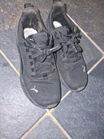 Sneaker Puma 38,5 Bayern - Regensburg Vorschau