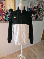 Windjacke Adidas Sachsen - Zwickau Vorschau