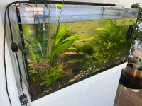 Aquarium 120 Liter komplett Bayern - Eitting Vorschau