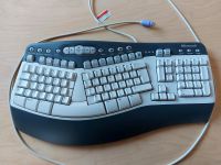 Tastatur ergonomisch Microsoft Harburg - Hamburg Fischbek Vorschau