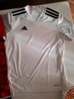 T-Shirt Adidas, Nike Nordrhein-Westfalen - Hürth Vorschau