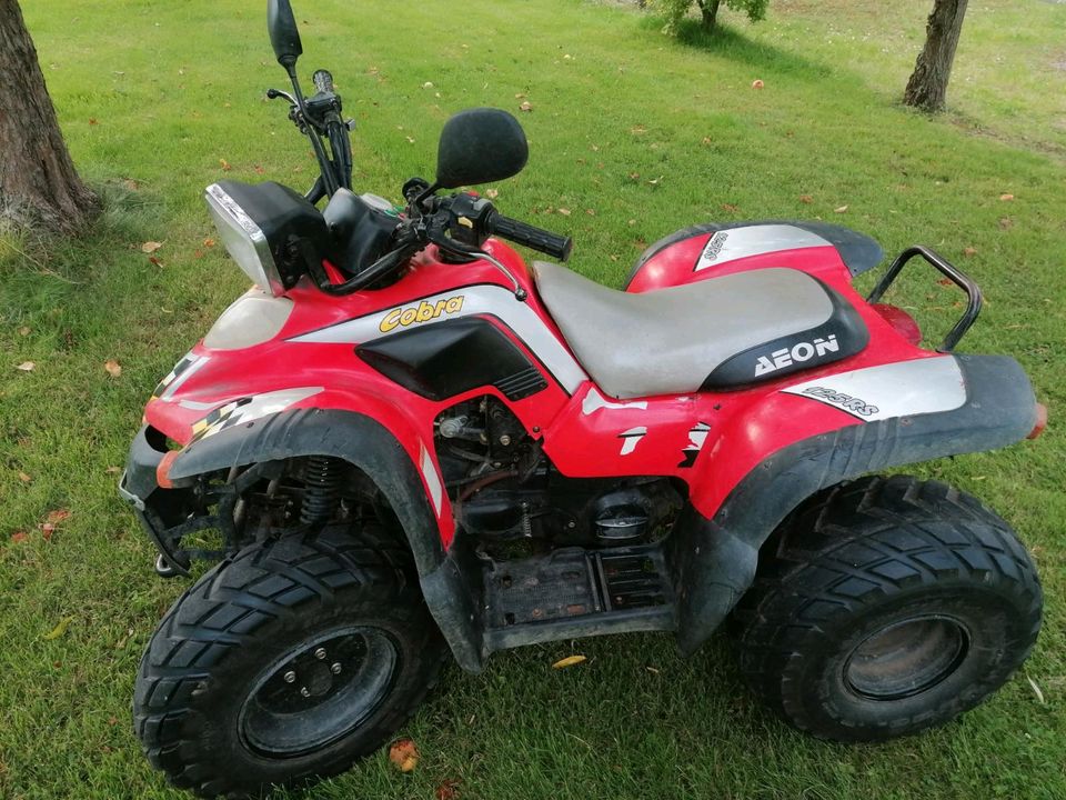 Aeon Revo R50 und Cobra 125RS Quad mit Straßenzulassung in Malsfeld