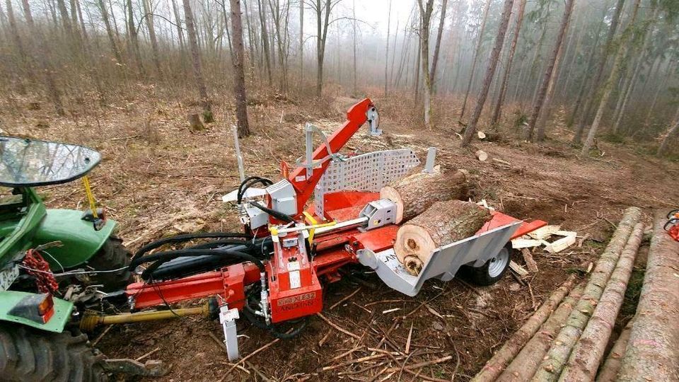 Lohnspalten Lohnsägen Holz Holzspalter Brennholz Wald Spalter in Blankenhain