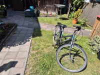 Fahrrad 28 zoll Bayern - Lauf a.d. Pegnitz Vorschau