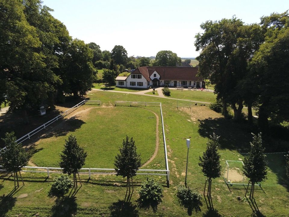 Reiterferien Reitferien Ferienlager Sommerferien in Lübeck