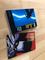 2 Batman Comic/ Bücher Hessen - Schlangenbad Vorschau