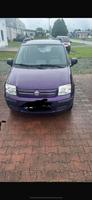 Fiat Panda Schleswig-Holstein - Oldenburg in Holstein Vorschau
