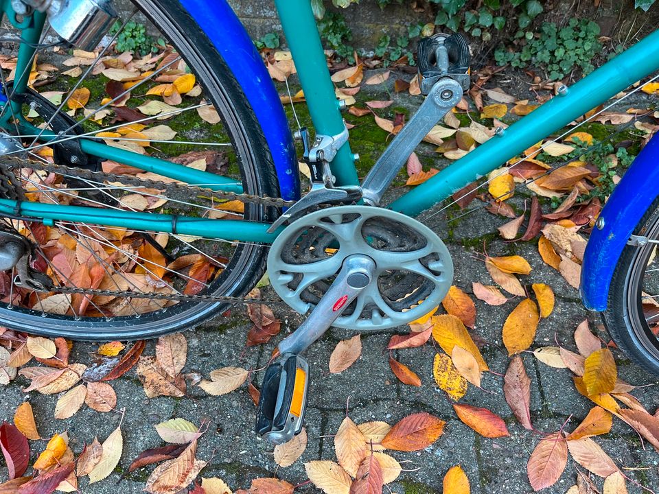 Öko Kult Fahrrad Greenpeace Herren 80er in Hannover