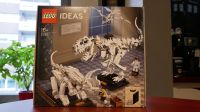 LEGO 21320 Ideas Dinosaurier Fossilien (NEU+OVP) Saarland - Sulzbach (Saar) Vorschau
