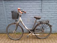 Verkehrstüchtiges Fahrrad Pegasus zu verkaufen! Nordrhein-Westfalen - Bocholt Vorschau