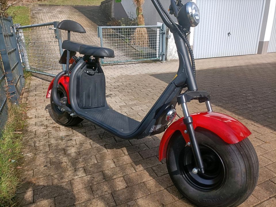 Elektro Scooter in Nagold