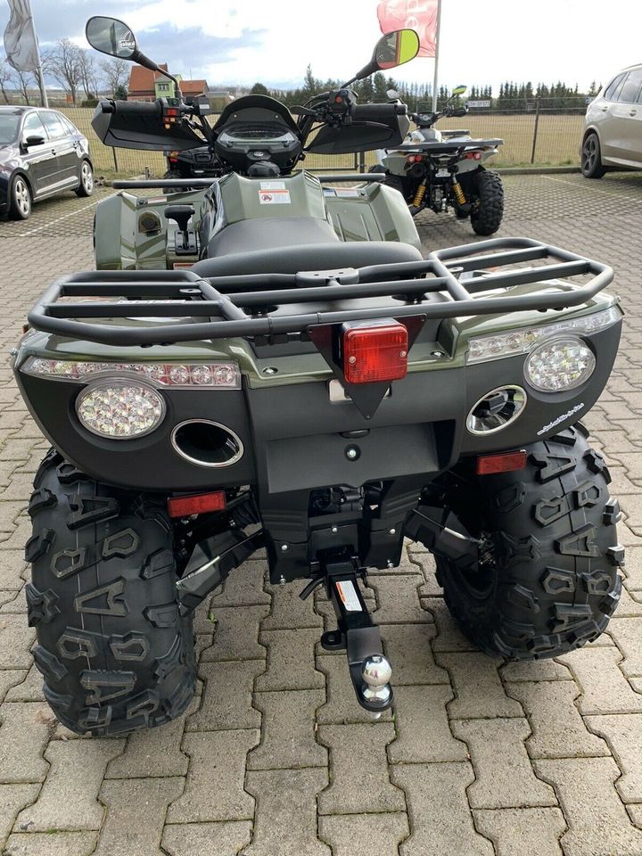 Frühlingsaktion ATV Quad Goes Iron 450 ltd. Grey/Green in Waltershausen