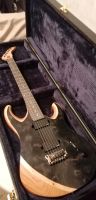 Custom E-Gitarre "Black Death" Bayern - Schrobenhausen Vorschau