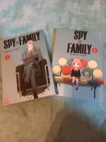 Spy X Family Band 1 und 2 Kaze Manga Harburg - Hamburg Heimfeld Vorschau