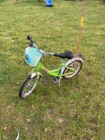 Puky Kinderfahrrad 16 Zoll grün Brandenburg - Panketal Vorschau