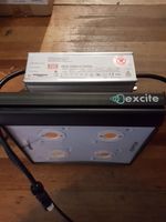 Excite Led fSpectrum+ LED 125 Watt Lampe 1-fach oder 2-fach SET Pankow - Prenzlauer Berg Vorschau