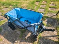 Strandbuggy faltbar mit Dach und Kühltasche Lübeck - St. Lorenz Süd Vorschau