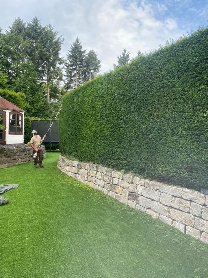 Bagger Arbeit Zaun Bau rollrasen garten Bau in Eschenburg