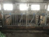 Selbstfangfressgitter für Kühe Bayern - Rettenbach Oberpf Vorschau