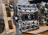 Zylinderköpfe für Land Rover Range Rover Sport 2,7 4x4 276DT R+L Niedersachsen - Braunschweig Vorschau