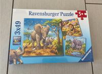 Ravensburger Puzzle: Zoo/Tiere/ ab 5 Jahre/ 3x49 Teile/ NEU Bayern - Straubing Vorschau