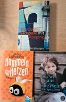 Claire Douglas Thriller und Roman, Erzählungen Rheinland-Pfalz - Rheinbreitbach Vorschau