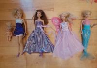 Großes Barbie Set Barbies, Kleidung, Accessoires,Kleiderschrank, Thüringen - Schönbrunn (bei Hildburghausen) Vorschau