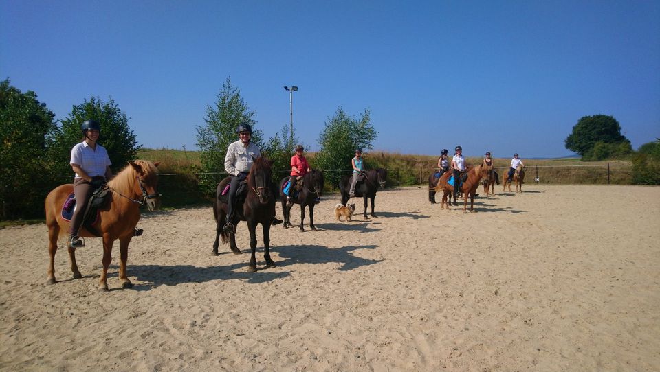 2-3tägige Wander- und Sternritte auf Islandpferden in Münchhausen