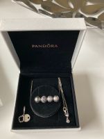 Pandora Sammlung Charms,  Anhänger, Armband  wie neu Wuppertal - Barmen Vorschau