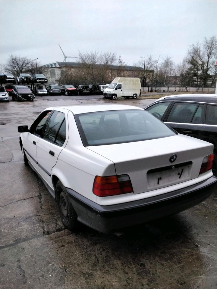 BMW E36 Limousine Schlachtfest Ersatzteile Teile in Magdeburg