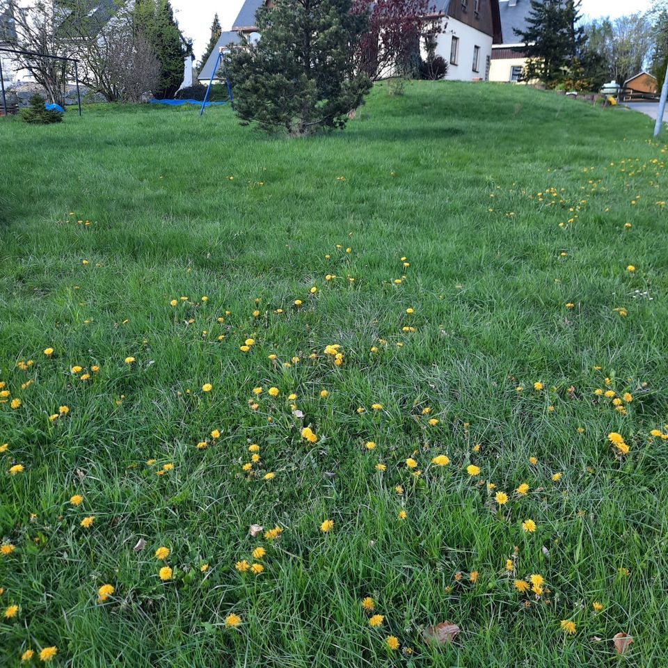 Grundstück im schönen Erzgebirge/Kurort Seiffen in Dargun