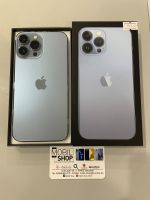 Apple iPhone 13 Pro Max Sierra Blue mit 512GB Sehr guter Zustand Bayern - Neustadt b.Coburg Vorschau