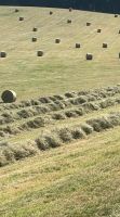 Bioheu, Rundballen, Futterheu, Pferde, Schafe,Ziegen,Rinder Rheinland-Pfalz - Kreimbach-Kaulbach Vorschau