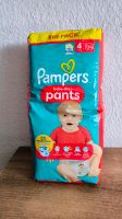 Pampers Baby dry pants Windeln Größe 4 Neu 2x Leipzig - Schönefeld Vorschau