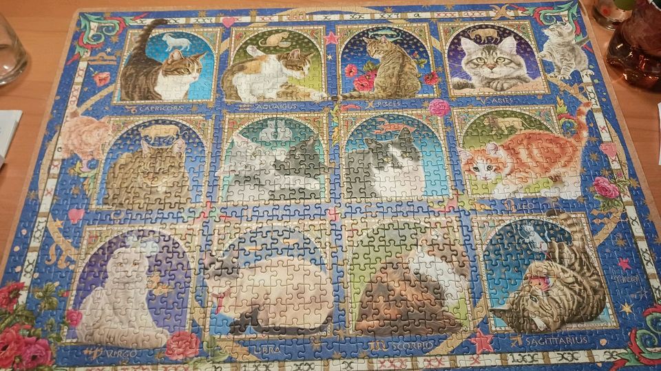 1000 Teile Puzzle Jumbo Katzen in Ennepetal