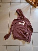 Puma Hoodie Hessen - Linsengericht Vorschau